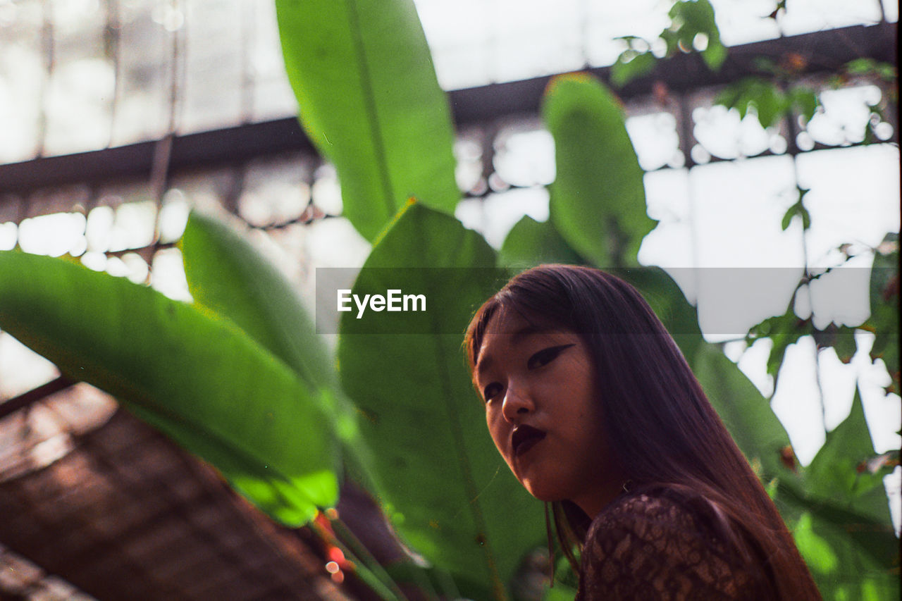 Low angle view of young woman looking away while standing against plants