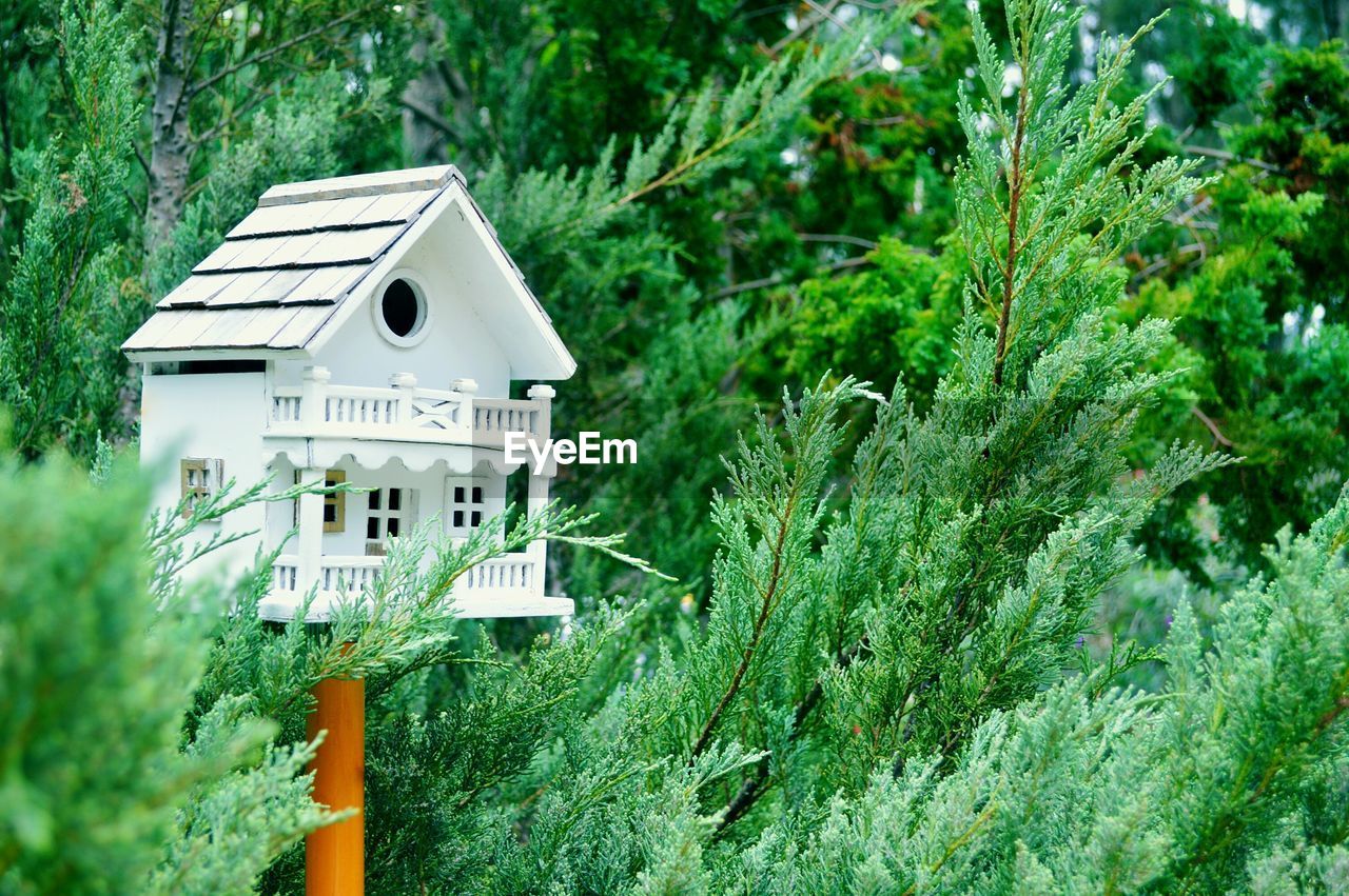 BUILT STRUCTURE ON GRASS AGAINST GREEN TREES