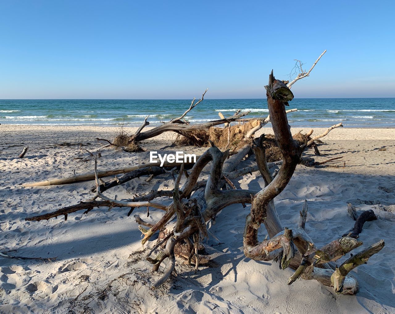 Driftwood on beach against sky