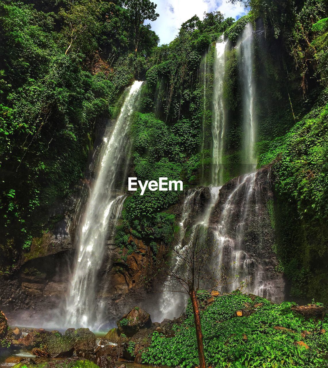 SCENIC VIEW OF WATERFALL