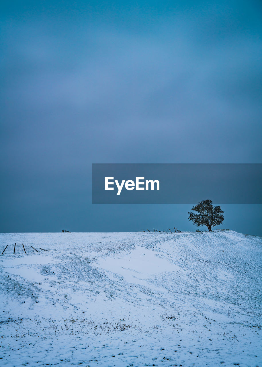 Scenic view of snow covered field against sky with hawthorn tree