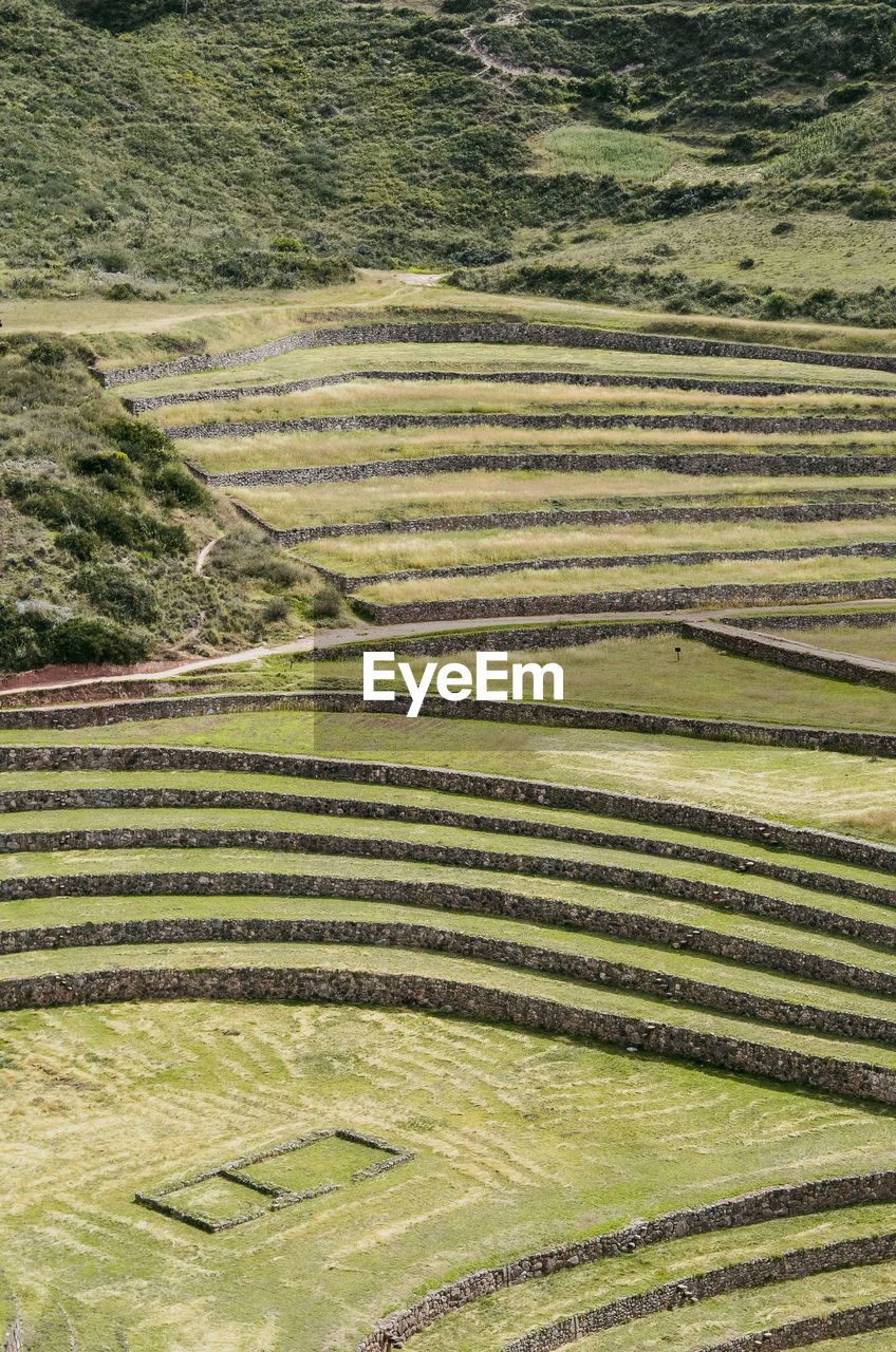 Full frame shot of agricultural field inca