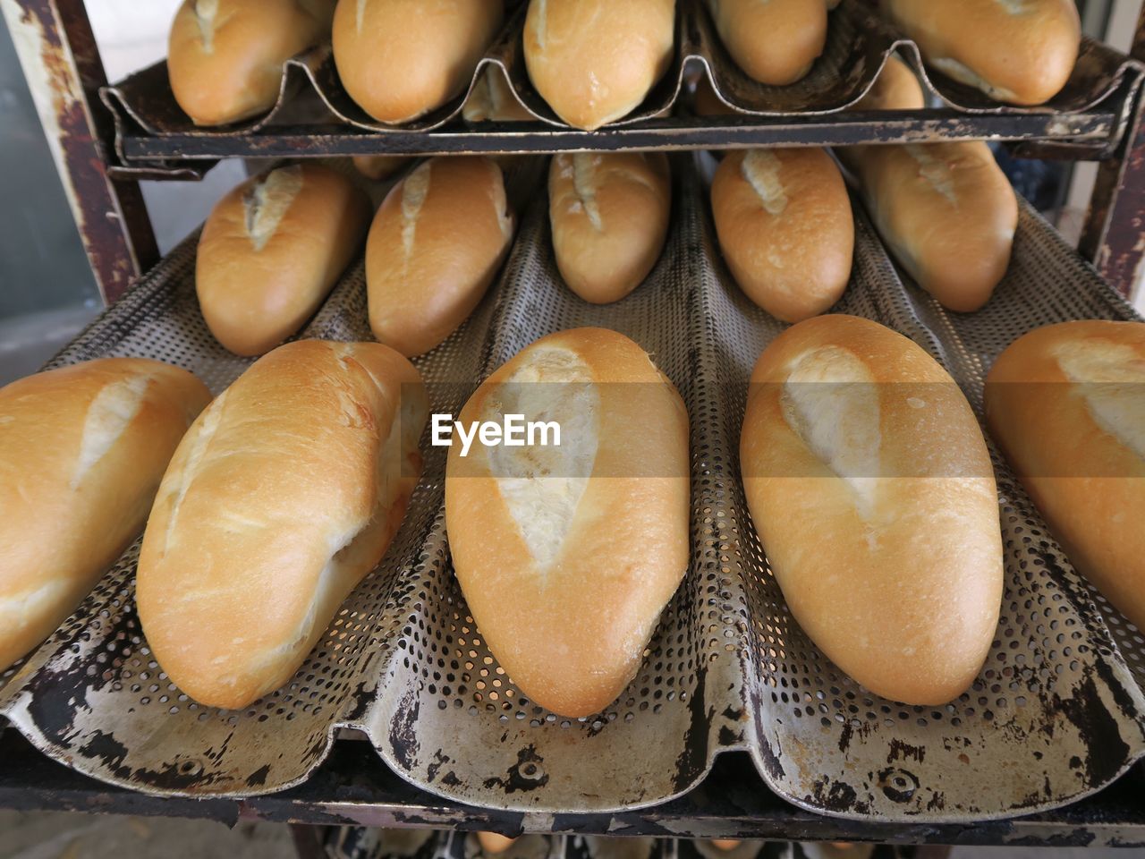 CLOSE-UP OF EGGS IN TRAY