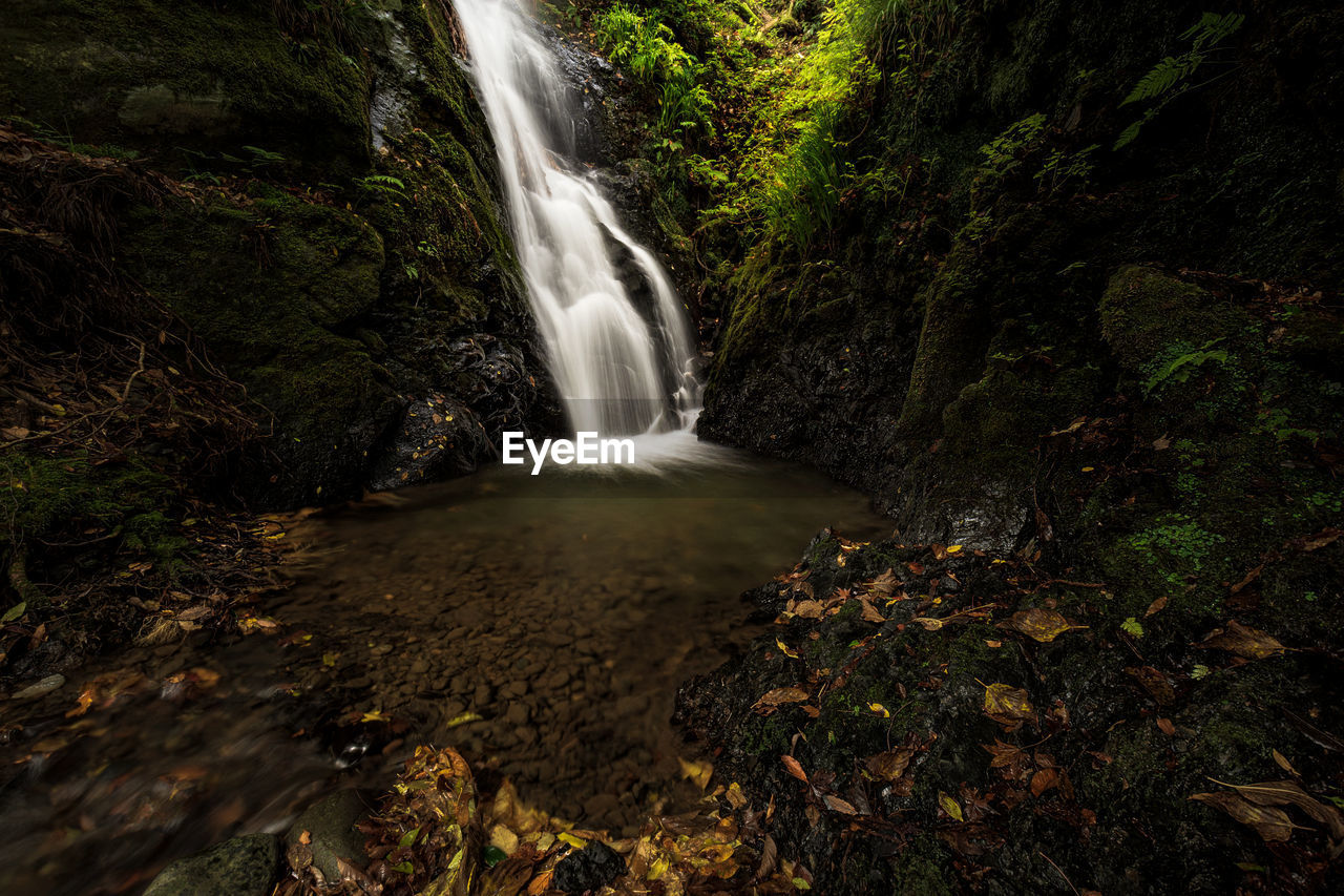 SCENIC VIEW OF WATERFALL