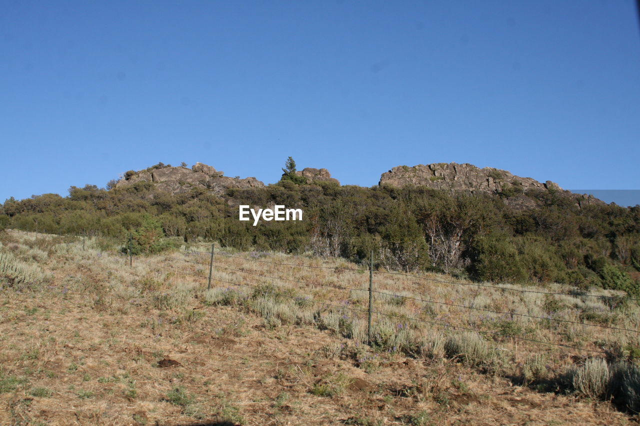 LANDSCAPE AGAINST CLEAR BLUE SKY