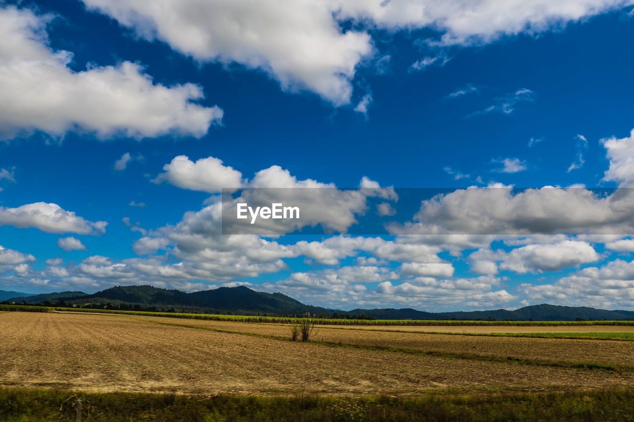 Scenic view of field against blue sky