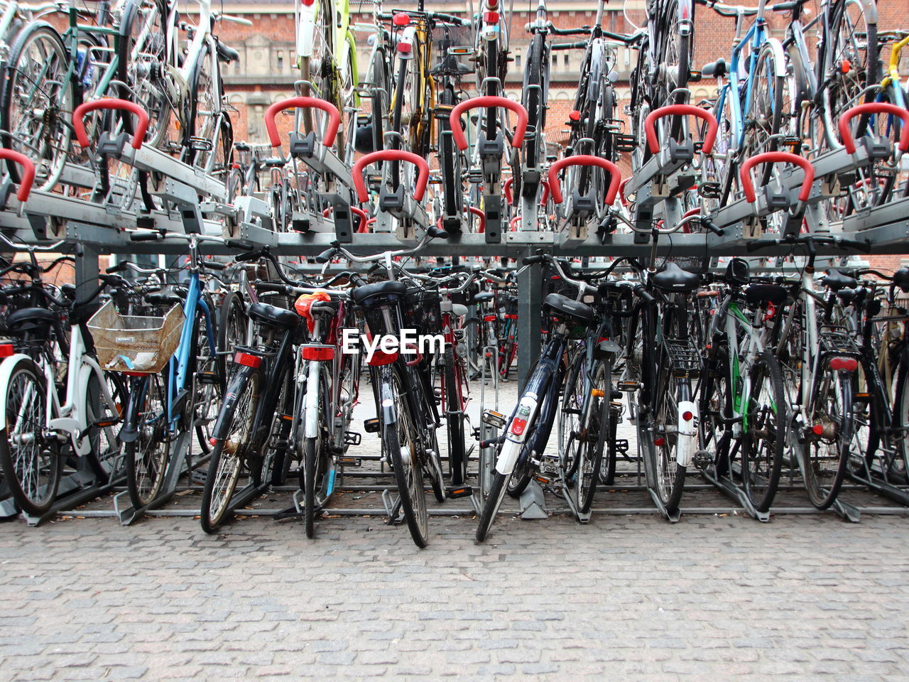 Bicycles parked on rack