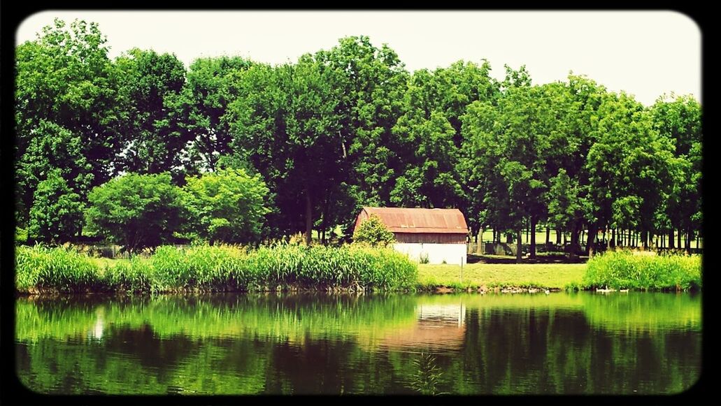 SCENIC VIEW OF LAKE