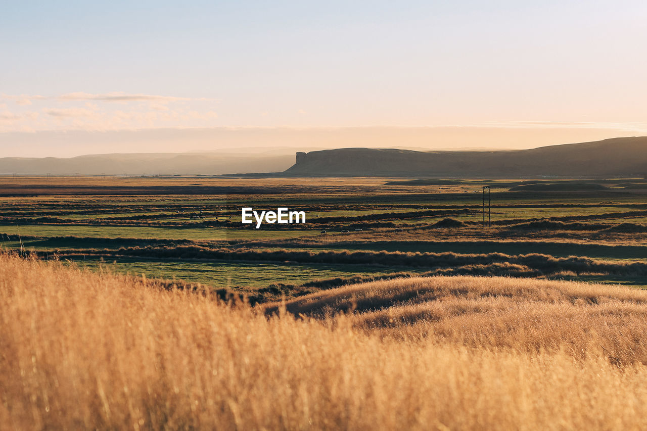 Scenic view of field against sky during sunset