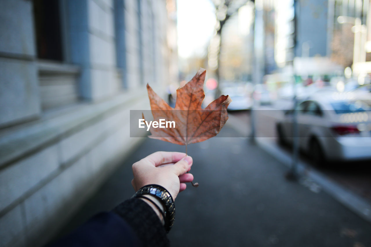 Close-up of person holding autumn leaf in city