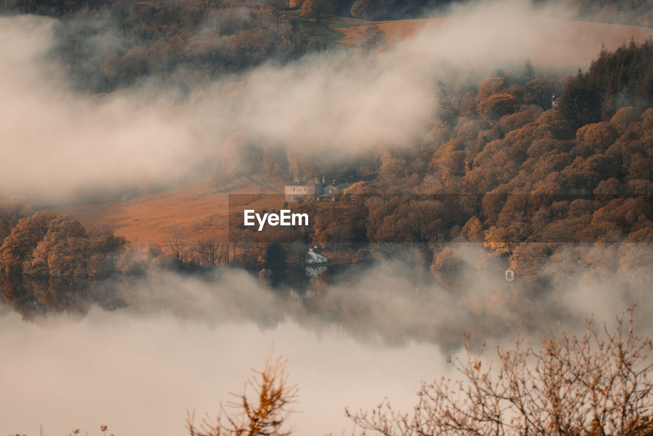 Smoke emitting from trees on land against sky