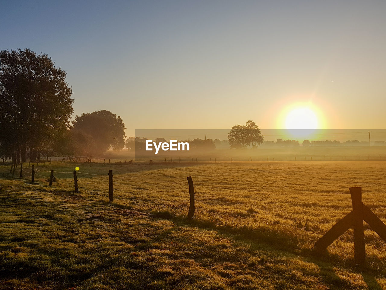 Scenic view of field against sky during sunset