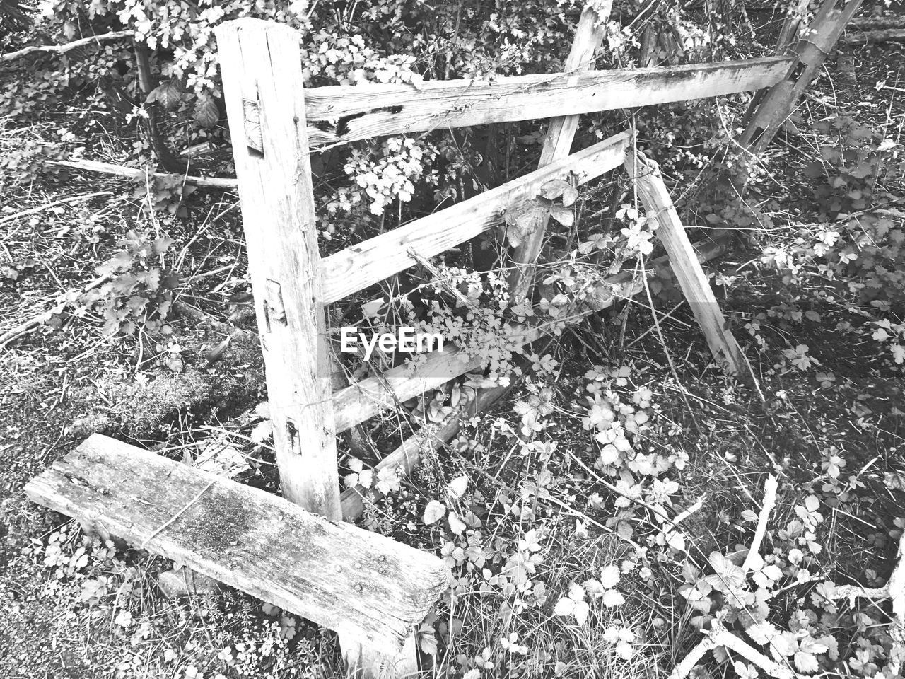 CLOSE-UP HIGH ANGLE VIEW OF WOOD OUTDOORS