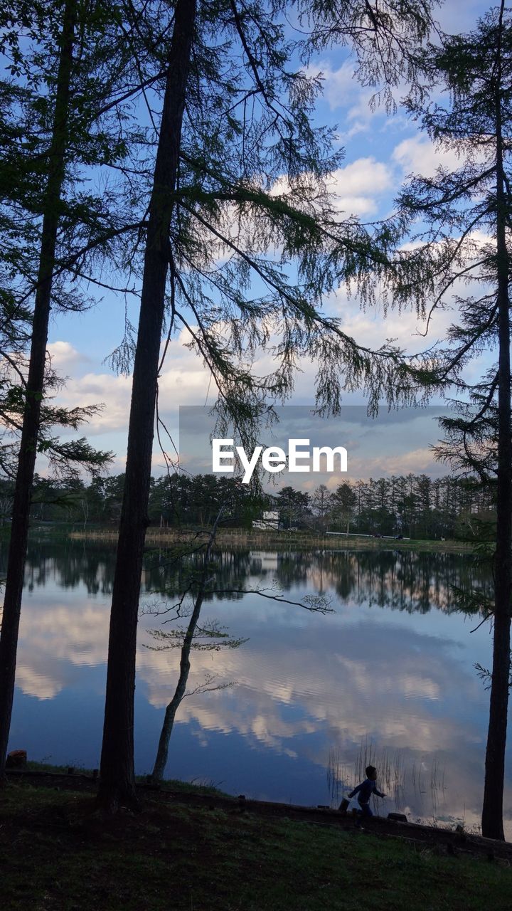 TREES ON LAKE AGAINST SKY