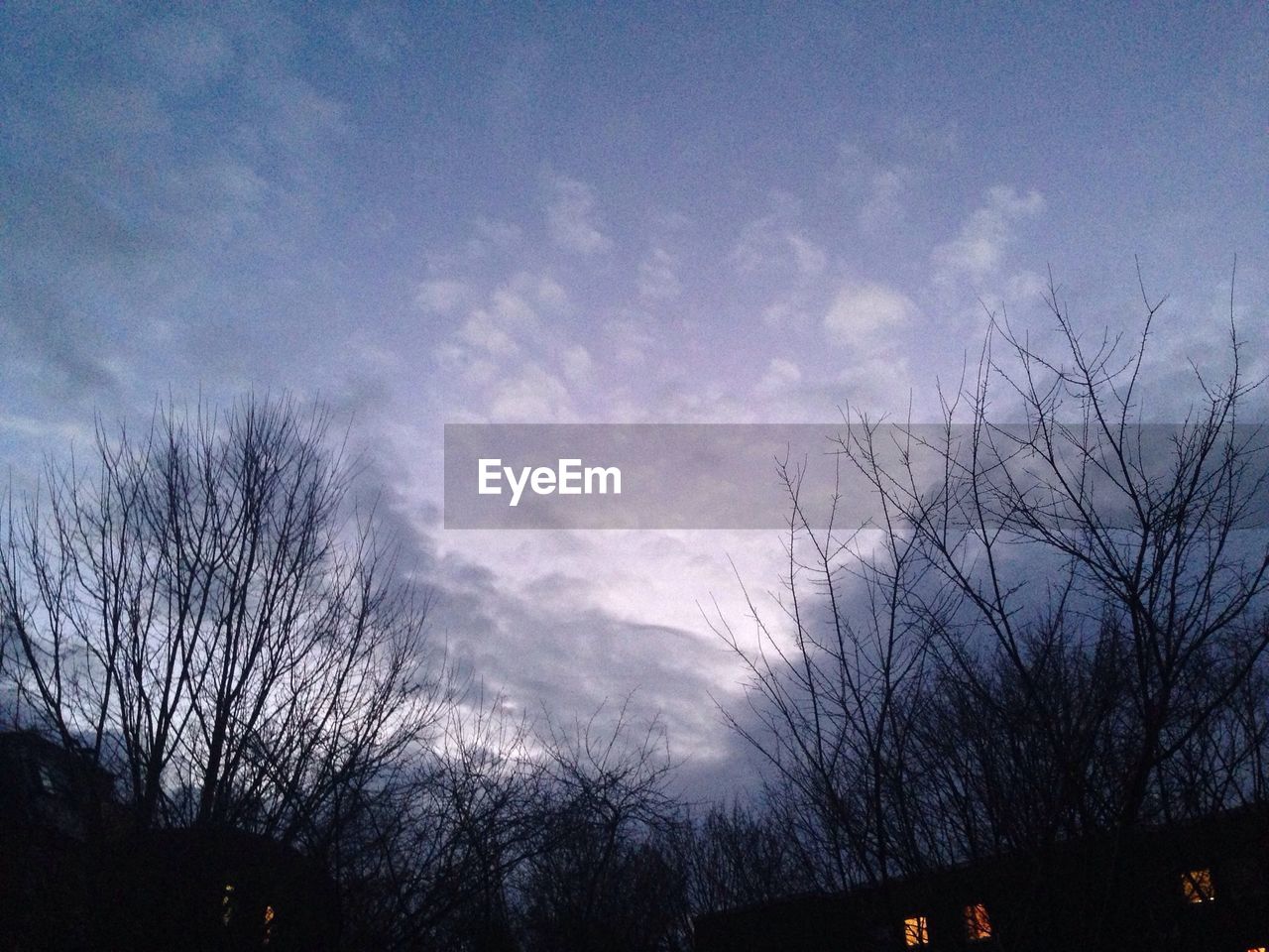 LOW ANGLE VIEW OF BARE TREES AGAINST SKY