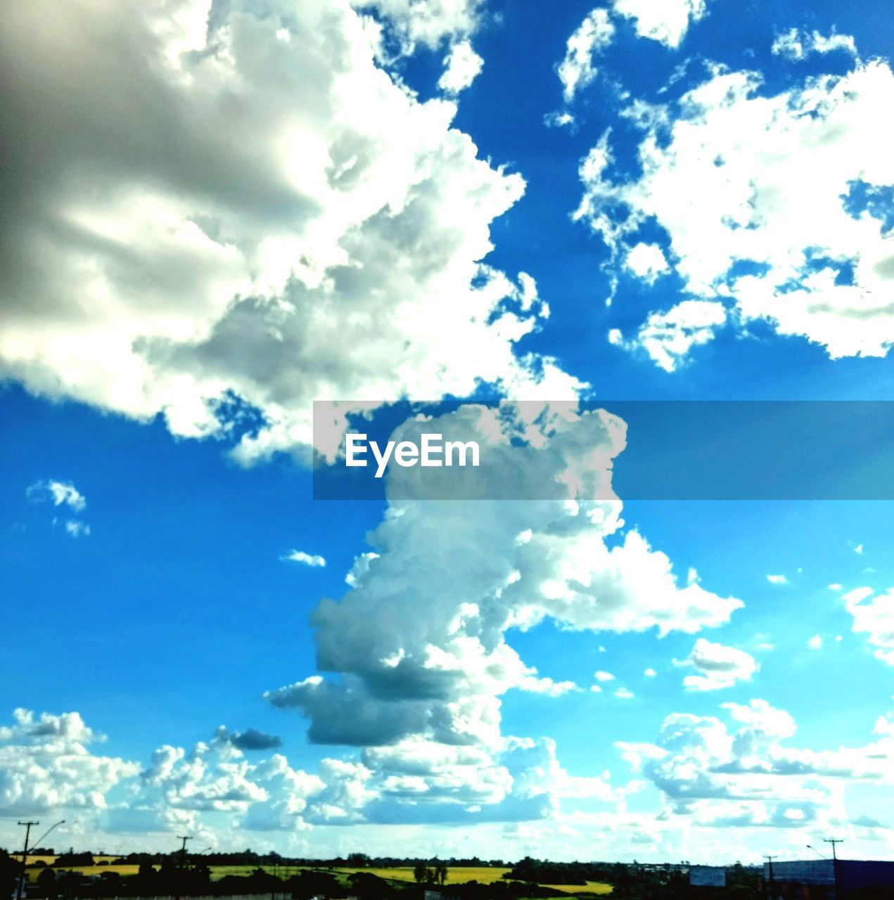 LOW ANGLE VIEW OF BLUE SKY AND TREES