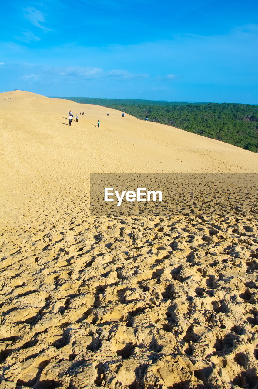 SCENIC VIEW OF SAND DUNE ON BEACH AGAINST SKY