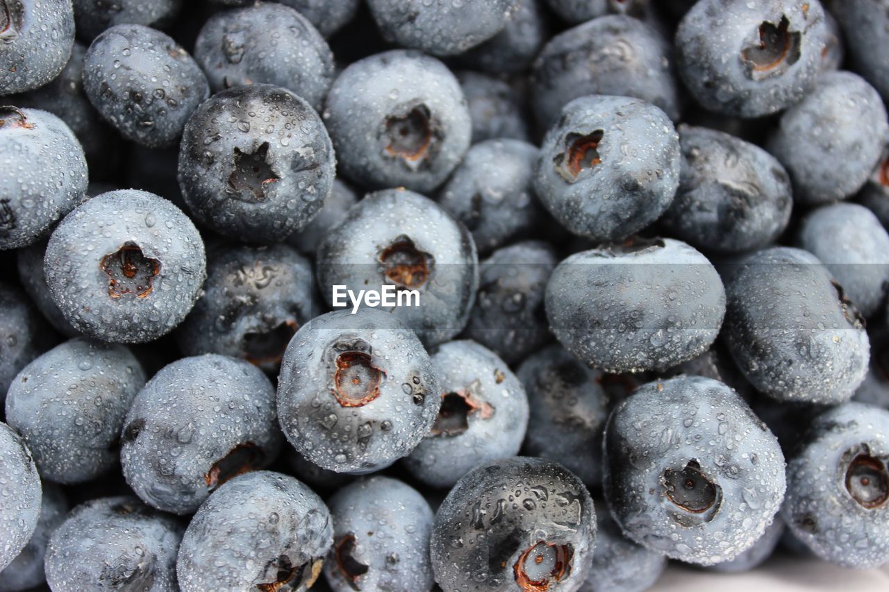 Detail shot of blackberries