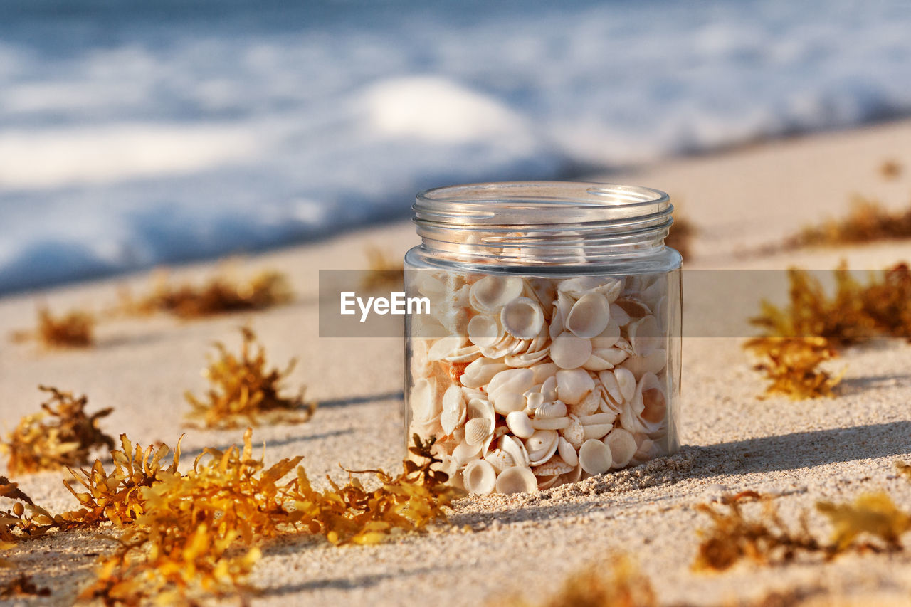 Seashells in jar on sand at beach