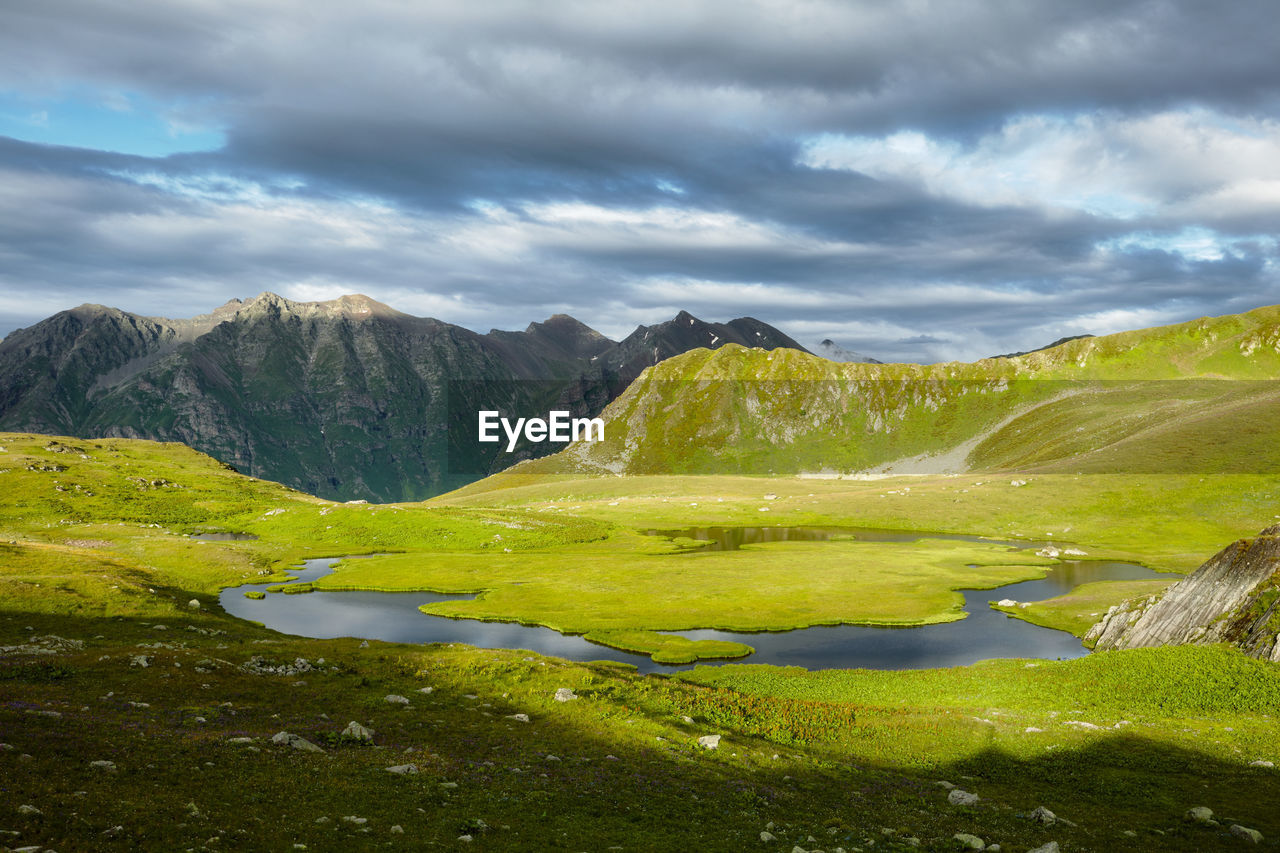 Mountain lake in summer with a flower meadow and mountains in the background