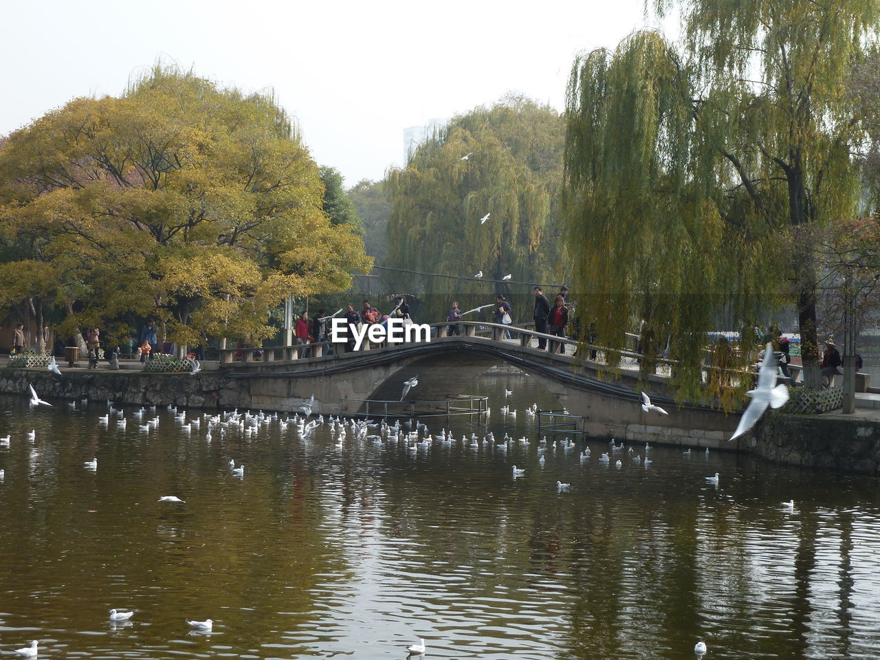 GROUP OF PEOPLE LOOKING AT LAKE