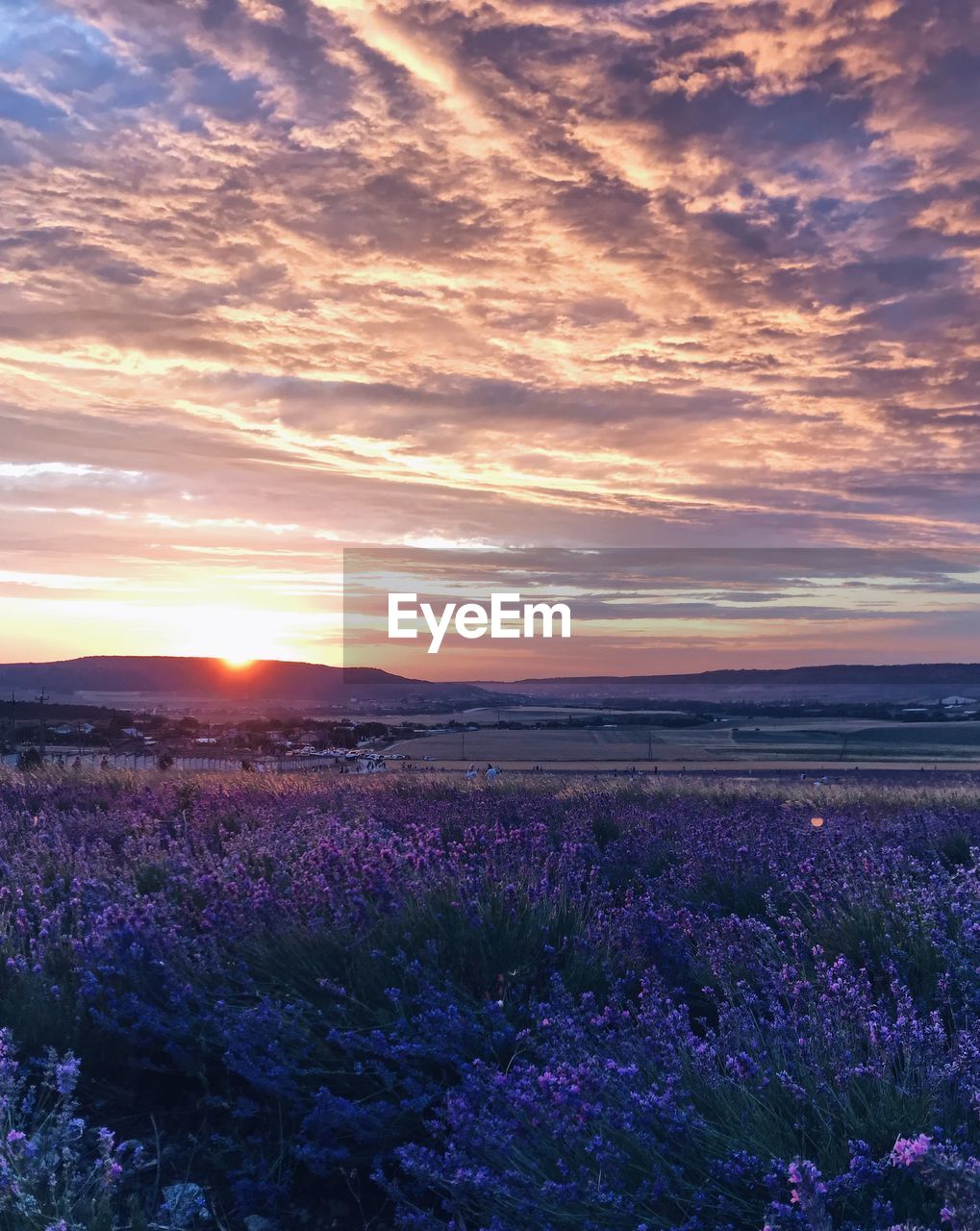 SCENIC VIEW OF FIELD AGAINST SKY DURING SUNSET