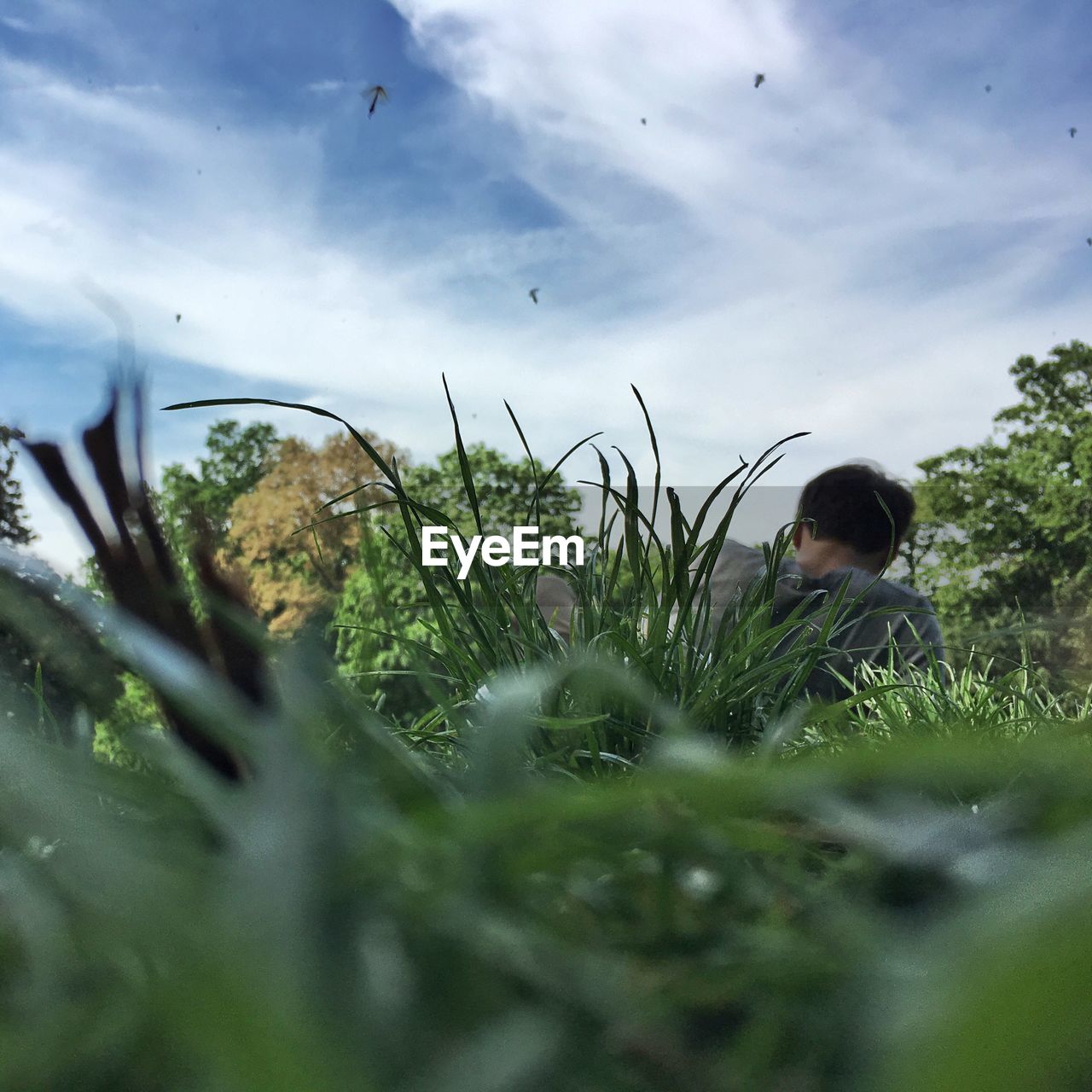 VIEW OF PLANTS AGAINST SKY