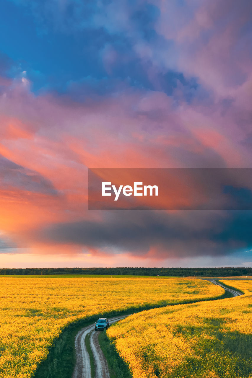 scenic view of field against cloudy sky during sunset