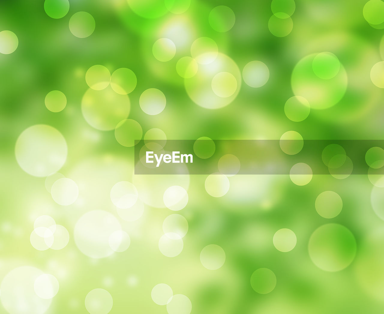 FULL FRAME SHOT OF DEFOCUSED IMAGE OF GREEN LEAVES