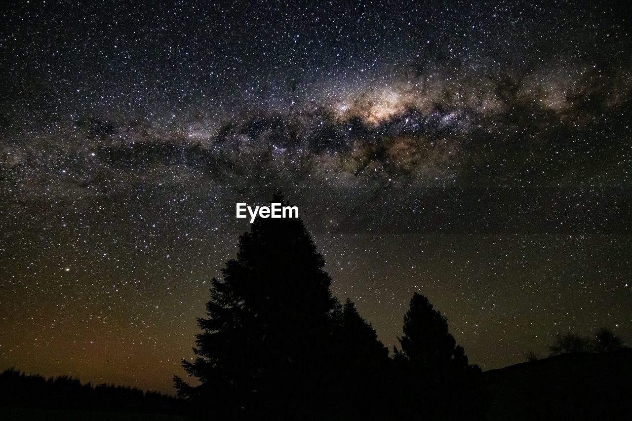 LOW ANGLE VIEW OF SILHOUETTE TREES AGAINST STAR FIELD