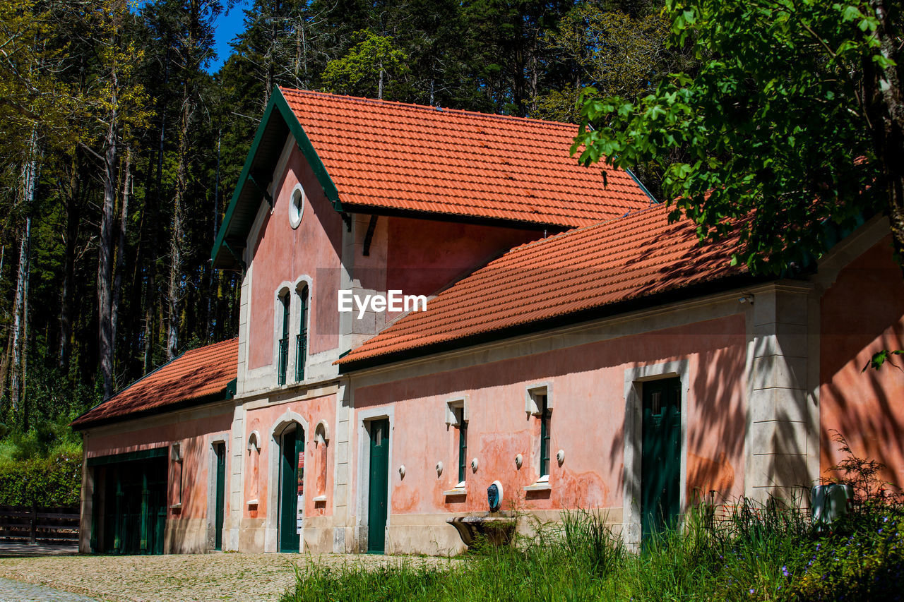 EXTERIOR OF HOUSE AND TREES BY PLANTS