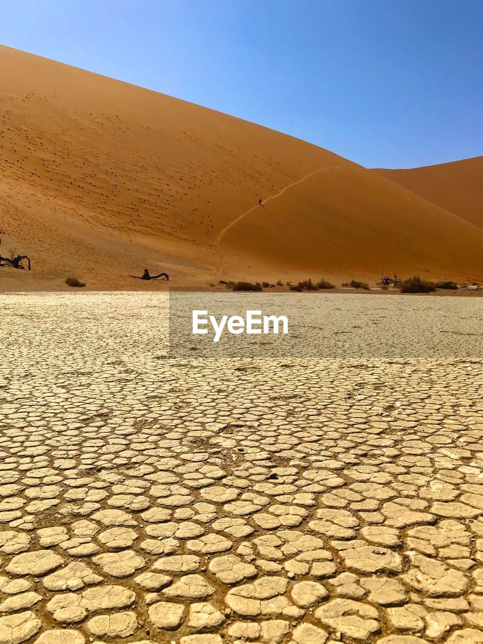 SCENIC VIEW OF SAND DUNE AGAINST SKY