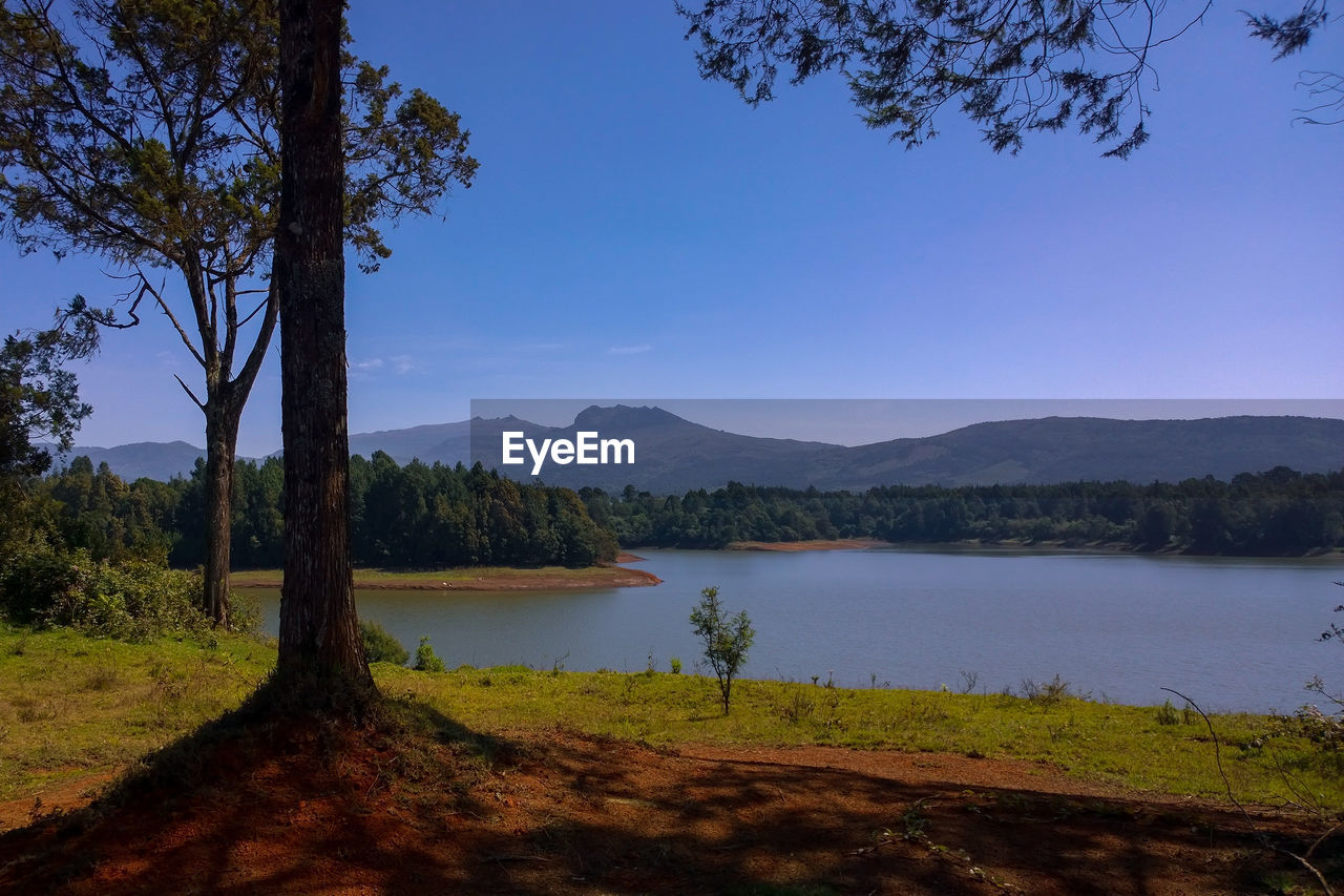 SCENIC VIEW OF LAKE AND TREES AGAINST BLUE SKY