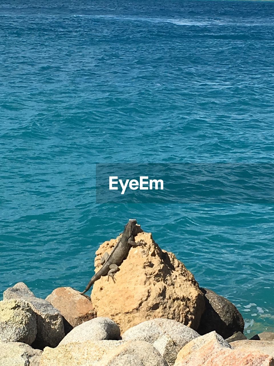 ROCKS ON BEACH AGAINST SEA