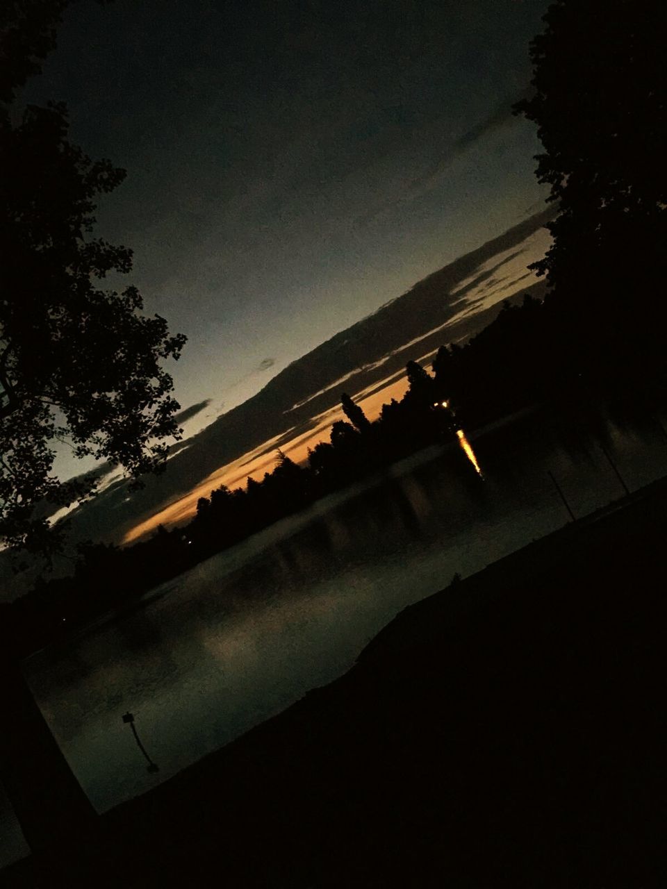 VIEW OF TREES AGAINST SKY