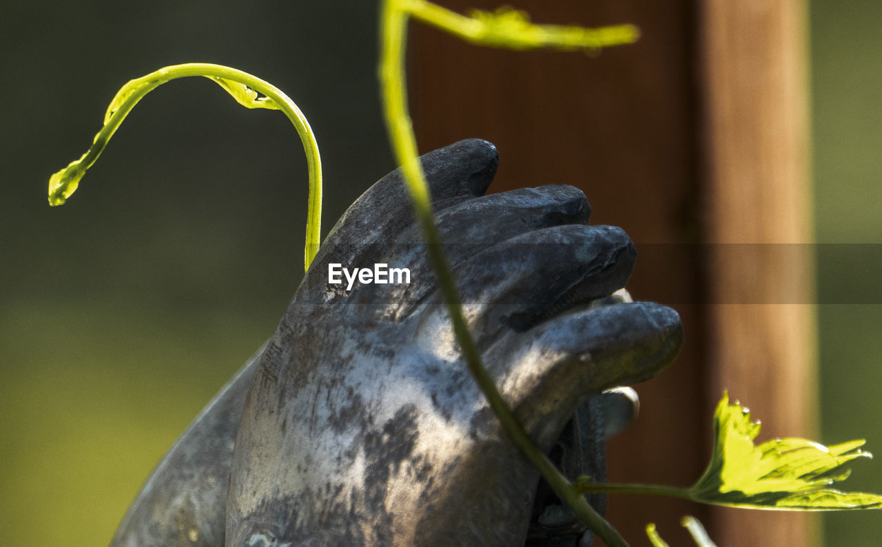 Hand on the fence