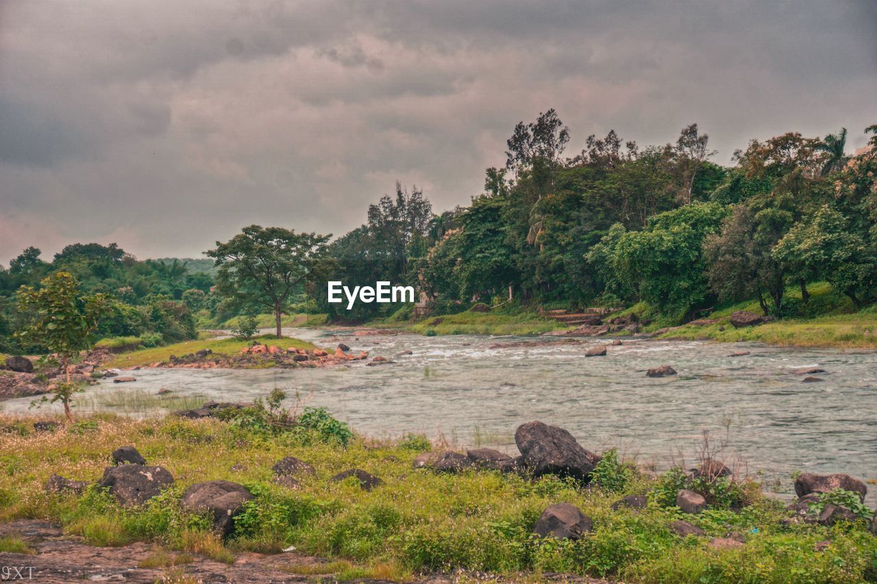 SCENIC VIEW OF TREES AND LANDSCAPE AGAINST SKY