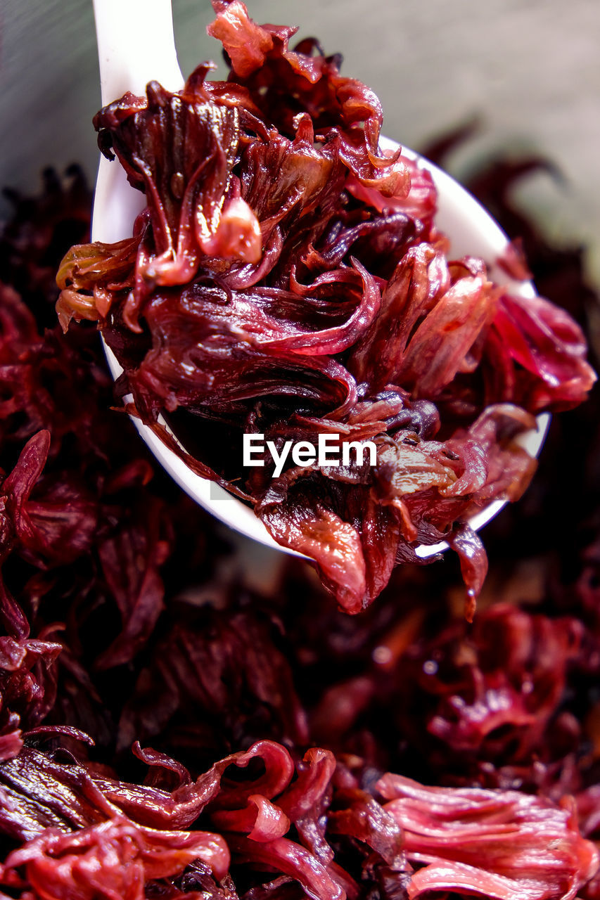 HIGH ANGLE VIEW OF RED CHILI ON FLOWER