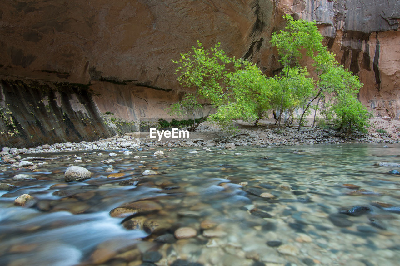 Natural landscape in autumn in the narrows at zion national park in usa