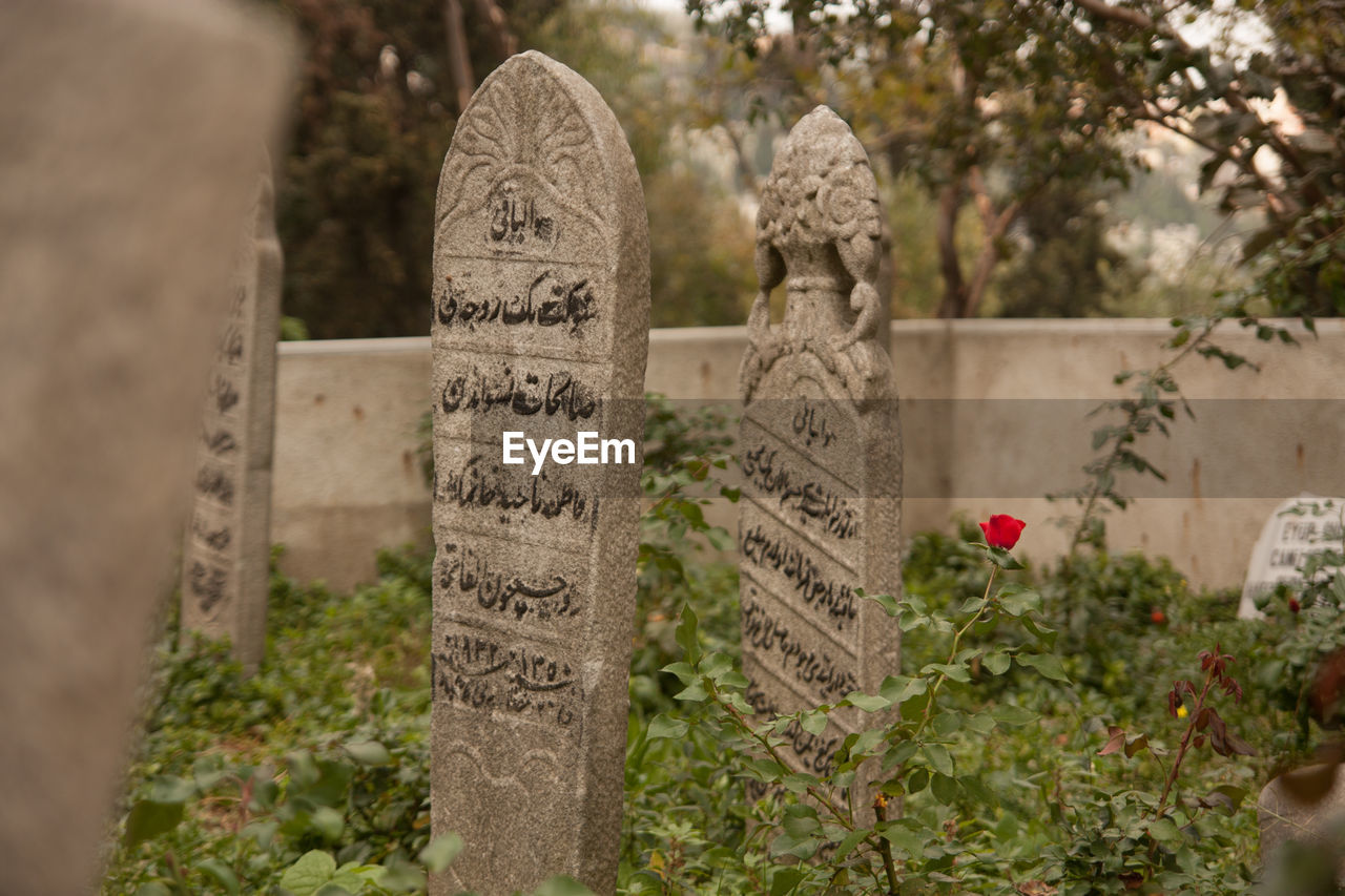 Tombstones in a cemetery