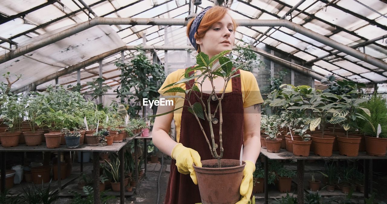 Young woman standing in greenhouse