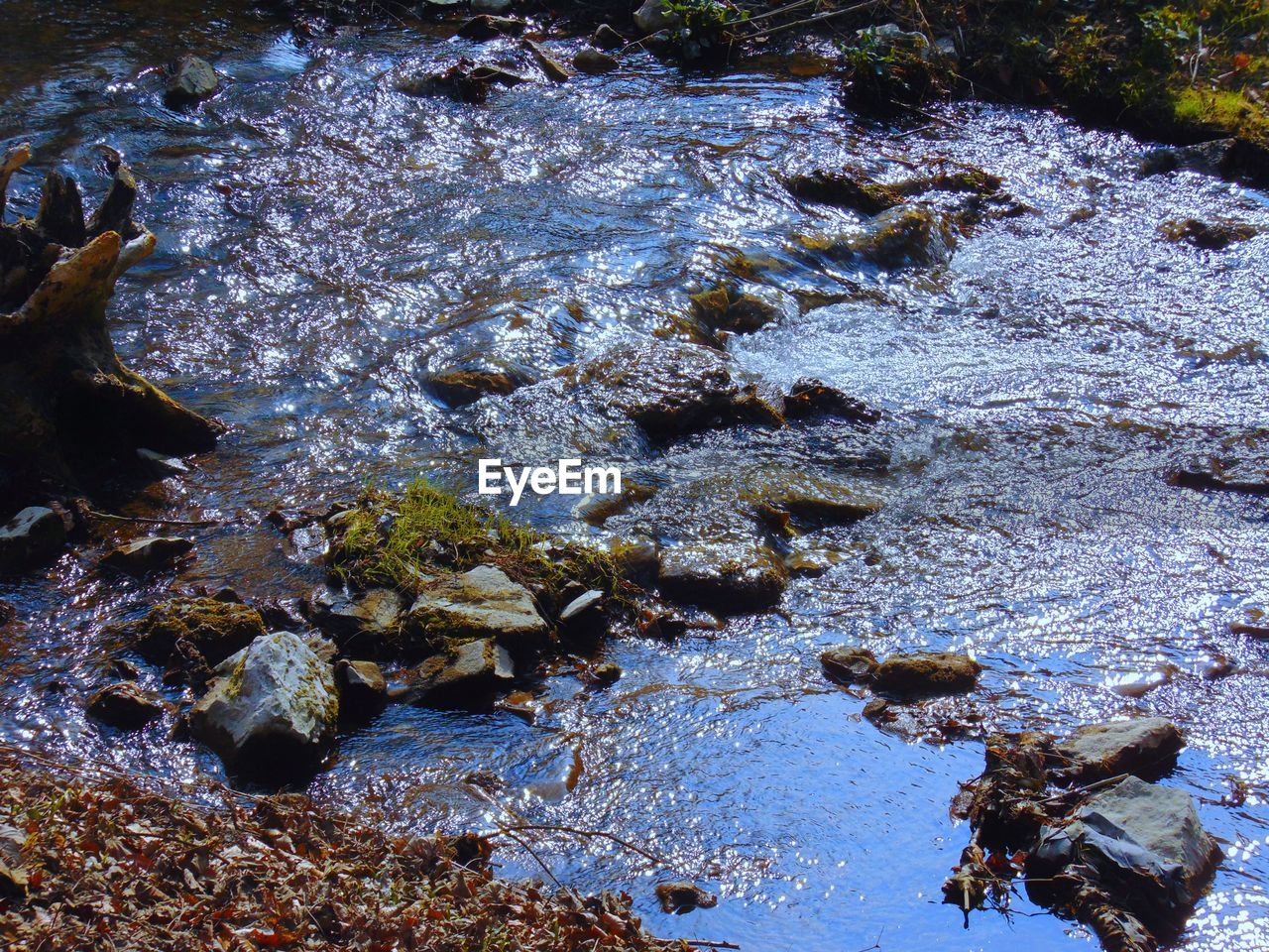 Rocks in stream