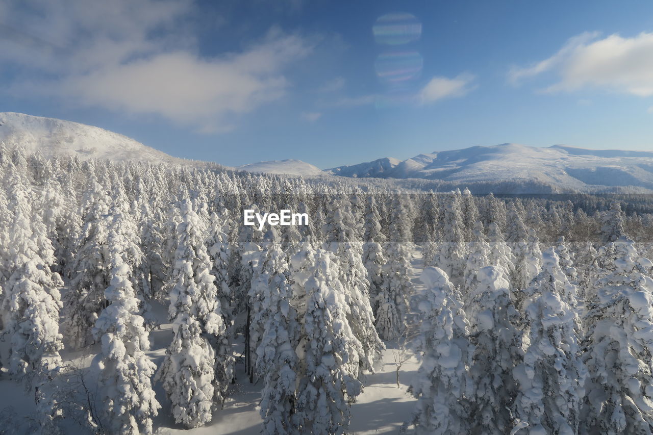 Panoramic view of snow covered landscape against sky