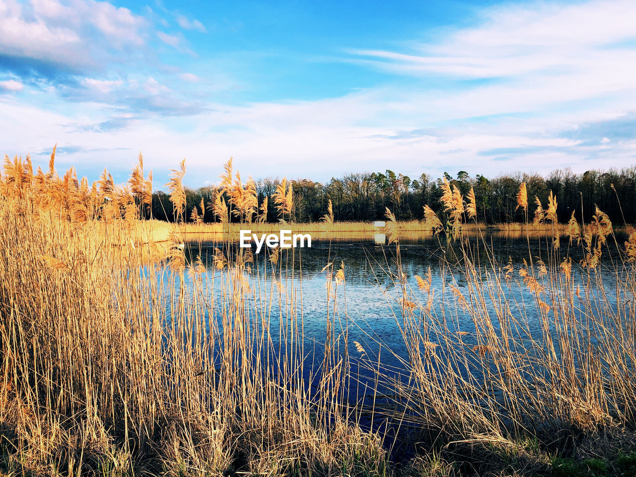 VIEW OF LAKE AGAINST SKY