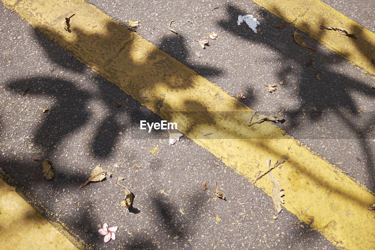 HIGH ANGLE VIEW OF SHADOW ON SAND