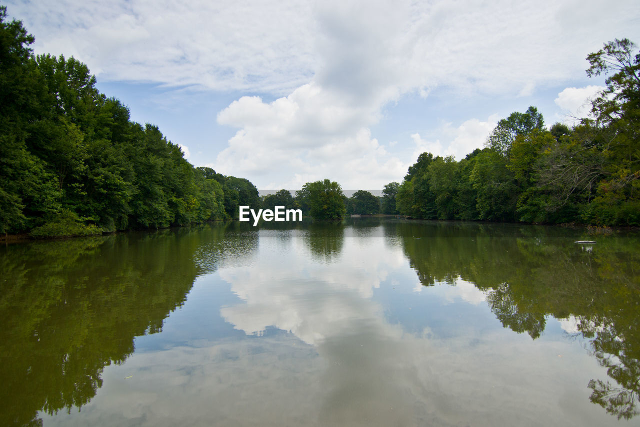 REFLECTION OF TREES IN LAKE WATER