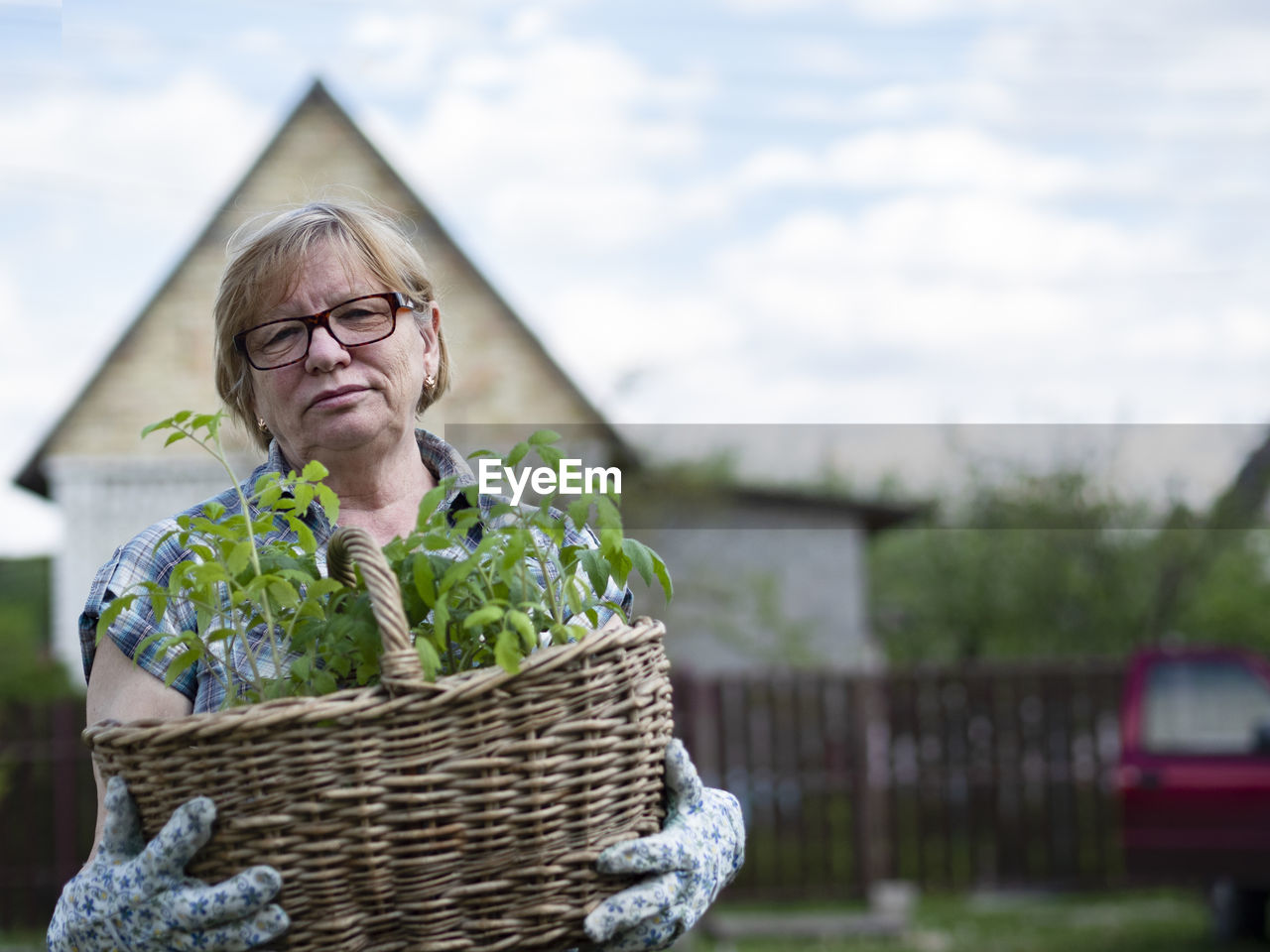 Senior caucasian woman holding a basket with tomato seedlings in the garden of a country house