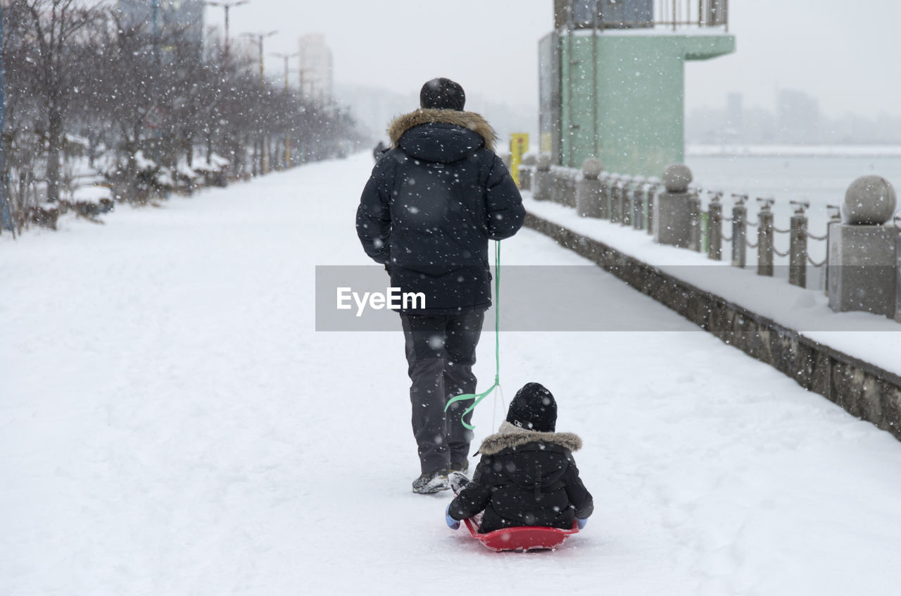 Rear view of father pulling son sitting on sled