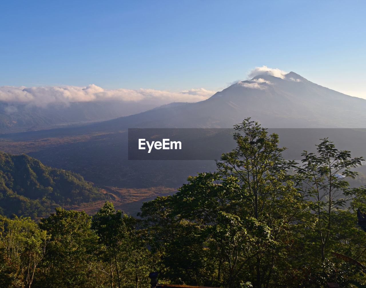 SCENIC VIEW OF TREES AND MOUNTAINS AGAINST SKY