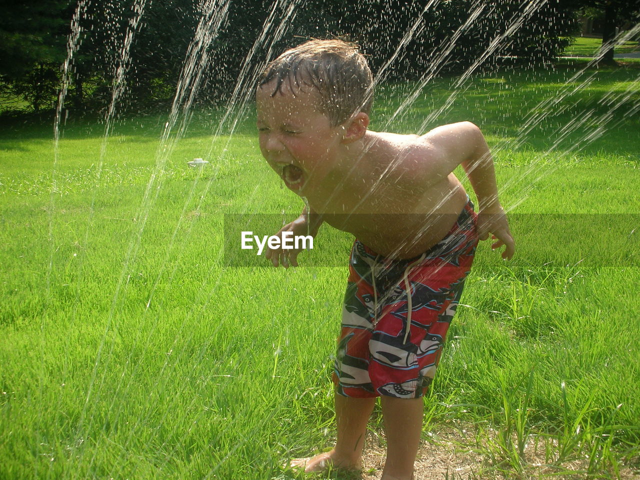 Shirtless boy playing with sprinkler at park